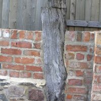 remains-of-the-cruck-stump